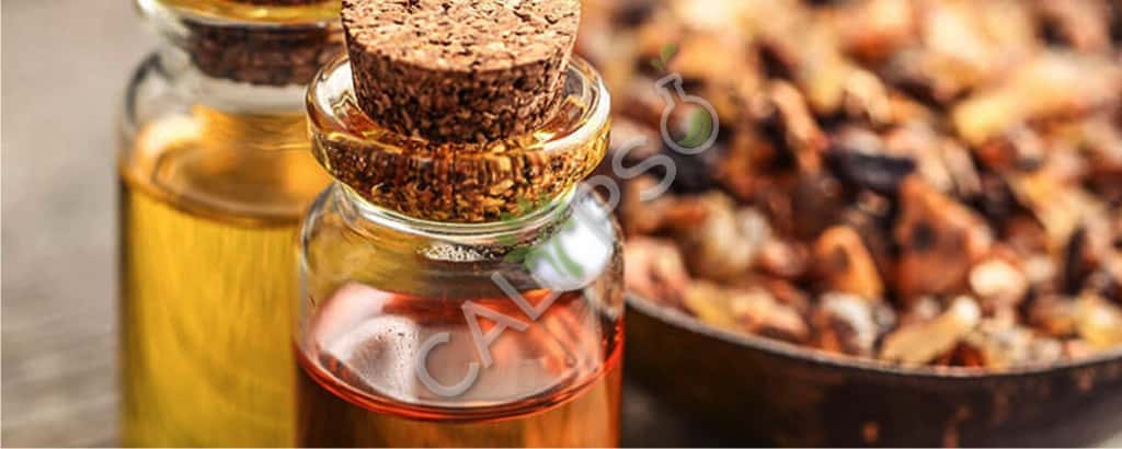 Myrrh Абсолютные нефтяные льготы